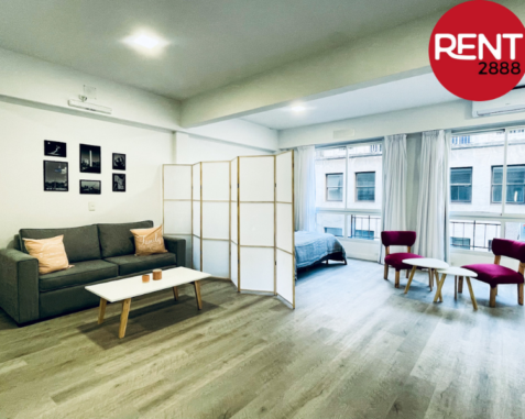 Monoambiente amplio c/ sofá cama en el Centro – REF. T5